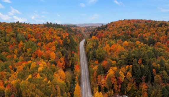 Global Corporate Sales Newsletter