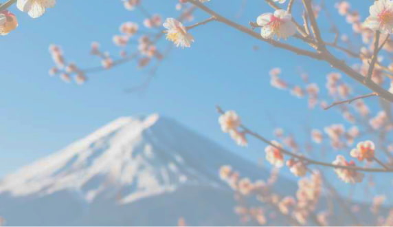 Global Corporate Sales Newsletter