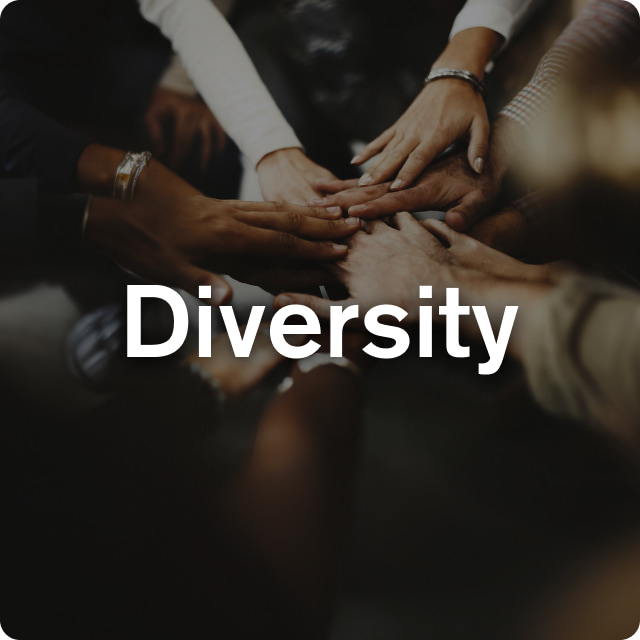 Diversity Diversity