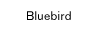 Bluebird