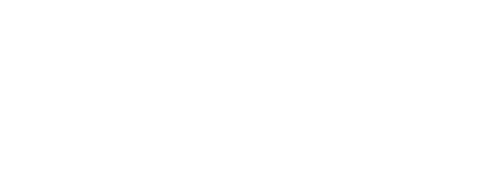 ELECTRIC VEHICLES WILL ACCELERATE THE NETWORKING OF ENERGY