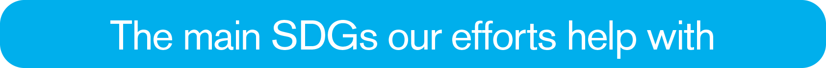 The main SDGs our efforts help with