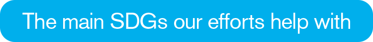 The main SDGs our efforts help with