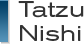 Tatzu Nishi