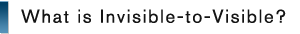 What is Invisible-to-Visible?