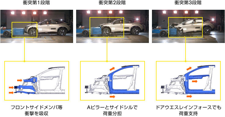 進化したゾーンボディのはたらき 進化したゾーンボディのはたらき