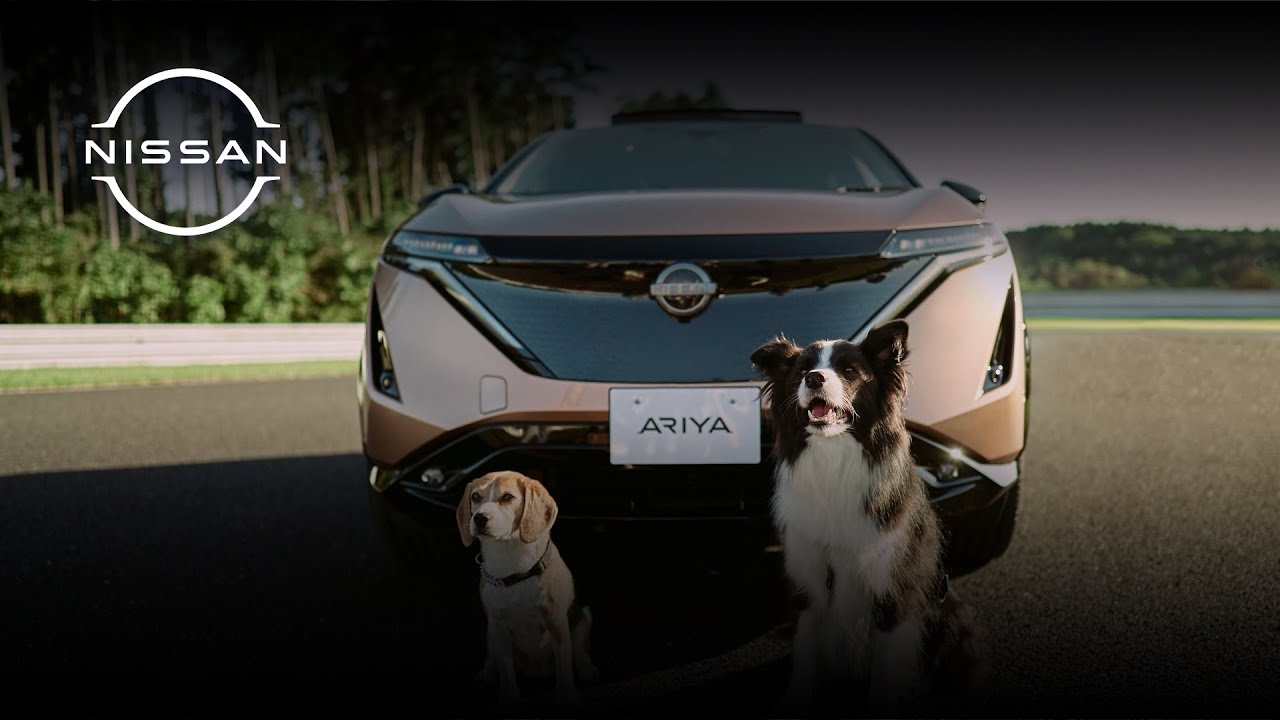 /JP/STORIES/RELEASES/nissan-e-4orce_perfect-drive-with-your-furry-friends/_122193/IMG/video_image_01.jpg