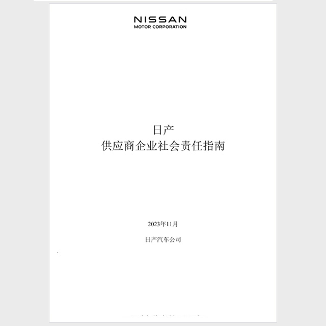 PDF（中国語）