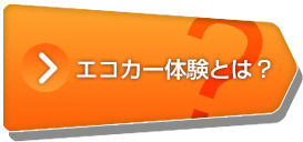 エコカー体験とは？