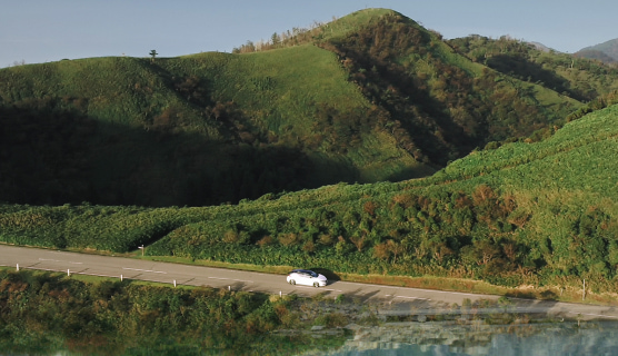 Sustainability Sustainability